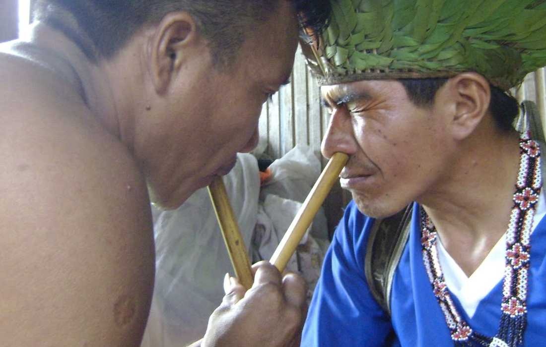 Tepi pipe for rapé: what is (and where to buy) a shamanic snuff applicator